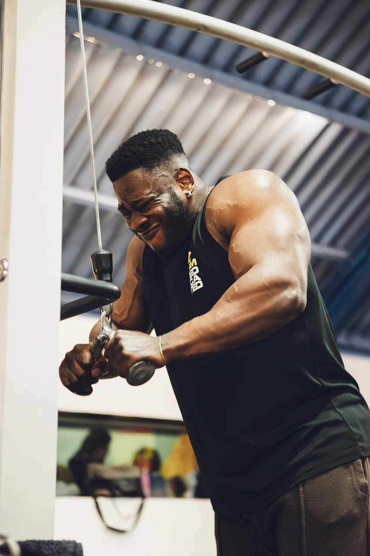 Entrenamiento de fuerza en Sport Training
